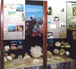 coral display case