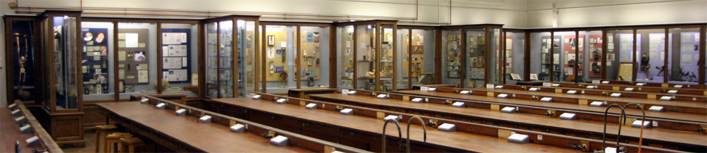 The Invertebrates Gallery