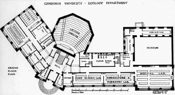 Lorimer's original plan for the Department of Zoology