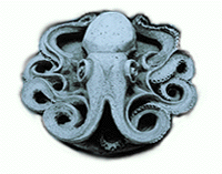 an octopus