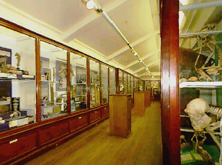 The Aubrey Manning Gallery